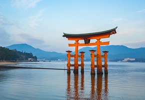 Japan in Focus
