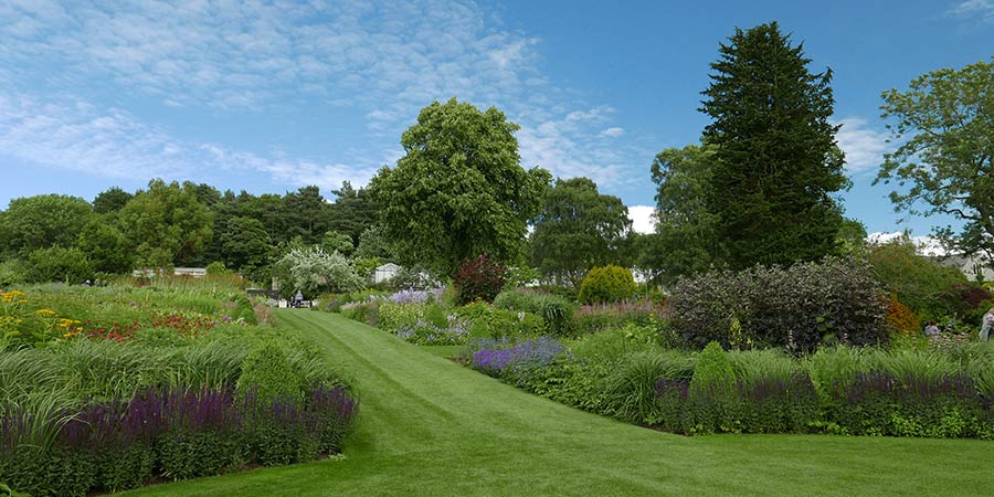 Walking through the inspiring RHS Harlow Carr Gardens