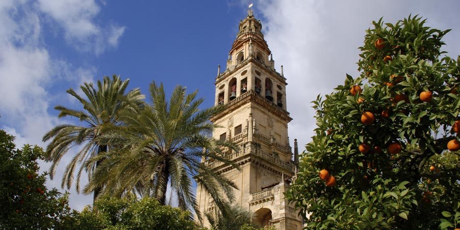 Corboda