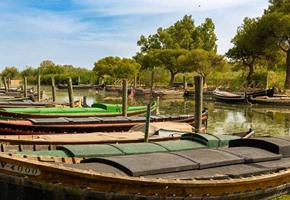 Plaza De I'Ajuntament